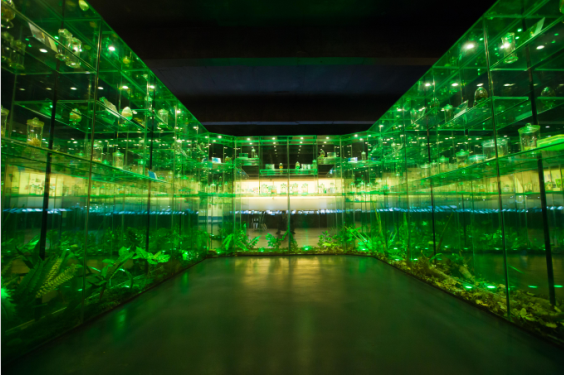 �Ї��x�ݲ����^