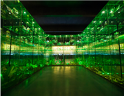 �Ї��x�ݲ����^