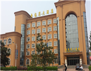 ��╞���Ƶ�