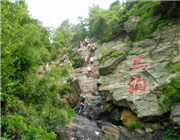 �����r(n��ng)�f�TƱ