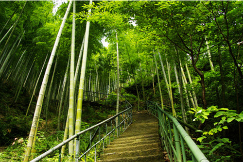 �R����ˮ���L(f��ng)���^(q��)